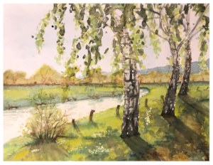 Aquarell von drei Birken, die am Rand des Weserufers stehen