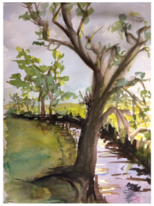 Aquarell eines Baches mit Baum im Vordergrund