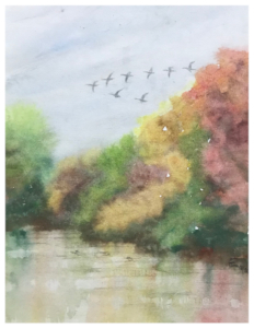 Aquarell eines Sees, an dessen Ufer herbstlich kolorierte Bäume stehen, die teils übers Wasser ragen. Uber den See fliegen Gänse in V-Formation, die sich im Wasser spiegeln.