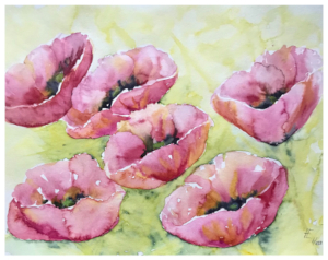 Aquarell von sechs Mohnblumenköpfen